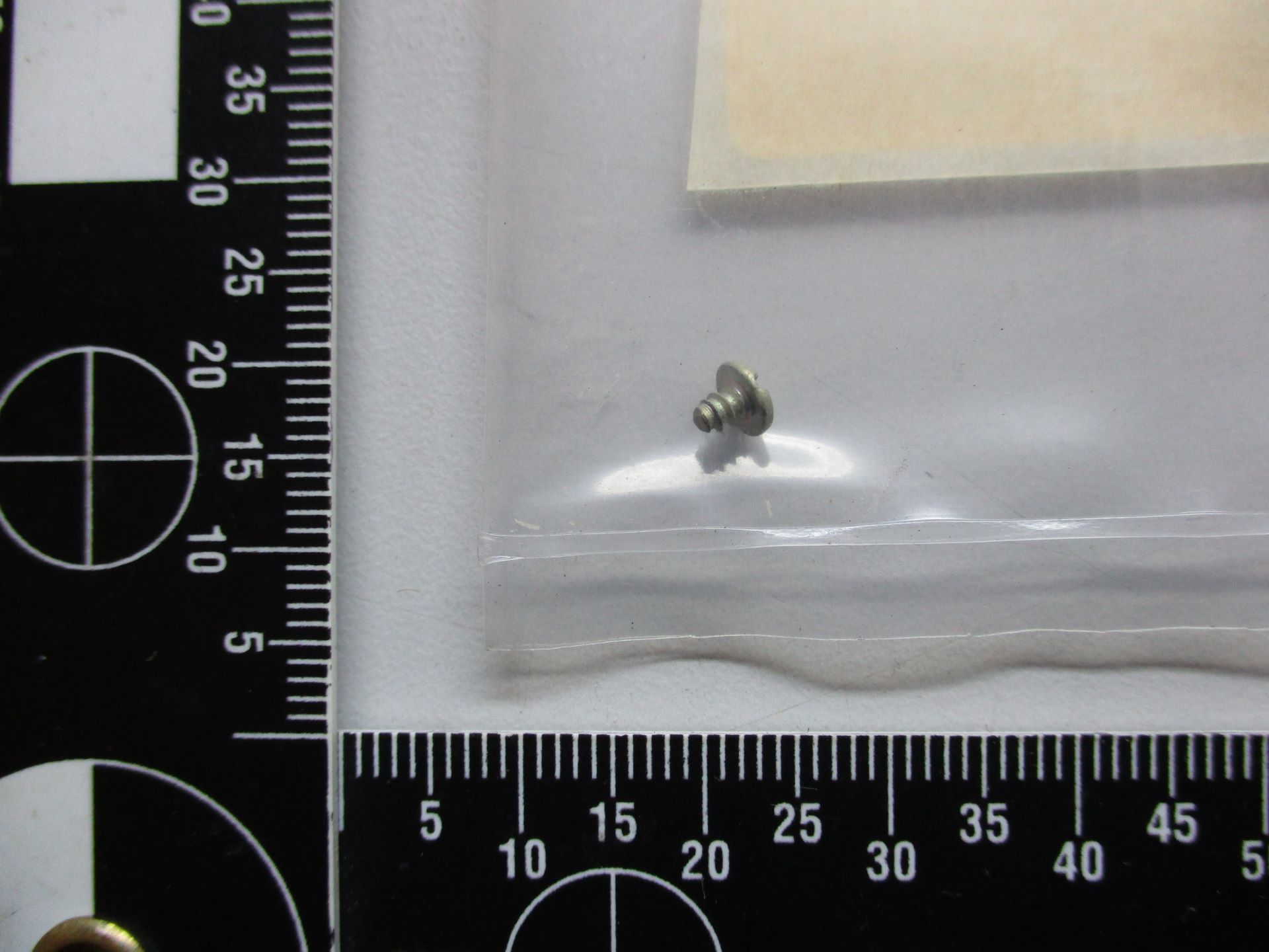 1489250-0202 SCREW SELF